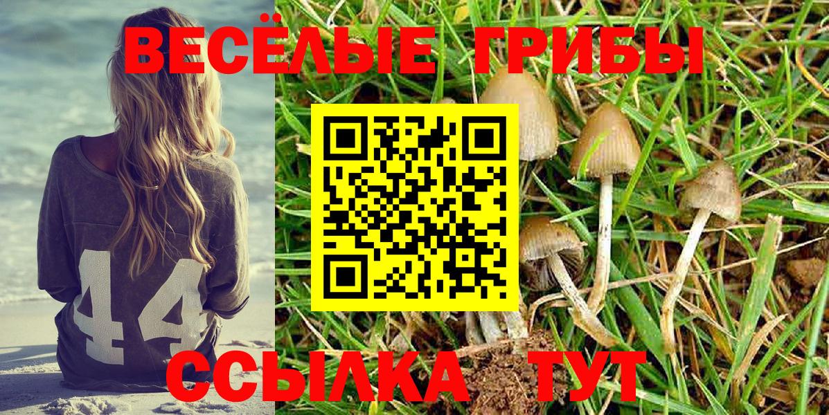 Псилоцибиновые грибы мицелий Удомля