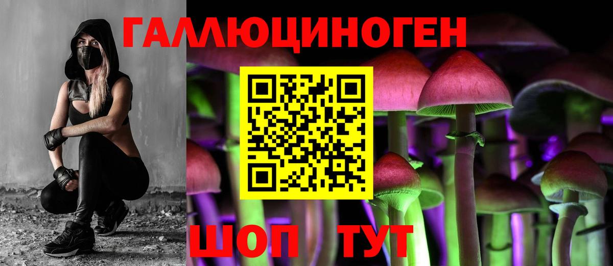 Псилоцибиновые грибы мухоморы  Псилоцибиновые грибы Psilocybine cubensis  Удомля  Вход с VPN 